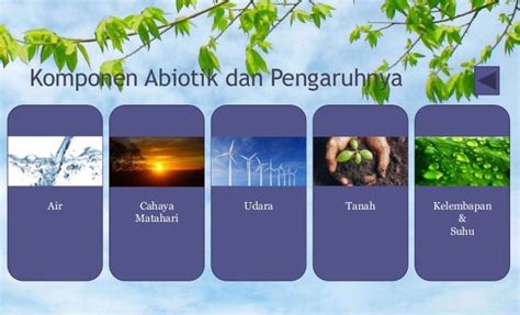 Komponen Biotik dan Abiotik Ekosistem (Terlengkap) ~ DosenIpa