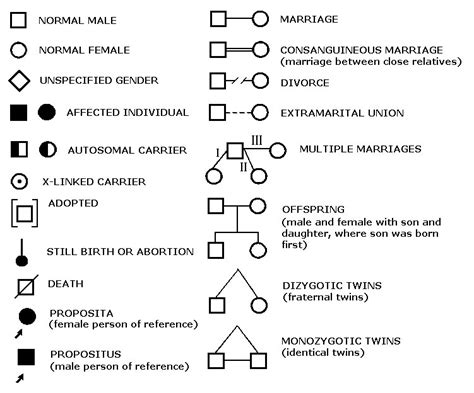 Pedigree Diagram Symbols