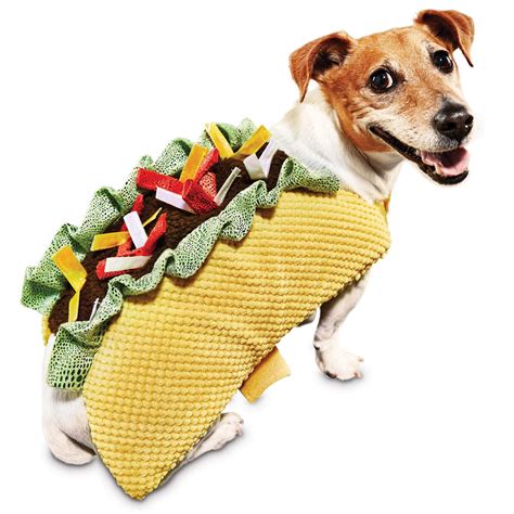 Bootique+Taco+Pet+Costume+-+ - https://www.petco.com/shop/en/petcostore ...