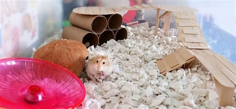 Diy Hamster Bedding