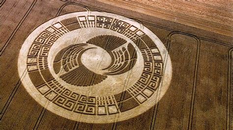 Crop Circles are extraterrestrial messages of the future says ...