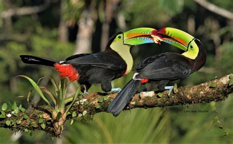 Costa Rica / Sharing Breakfast Together