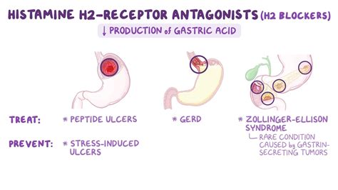 Receptor Antagonist