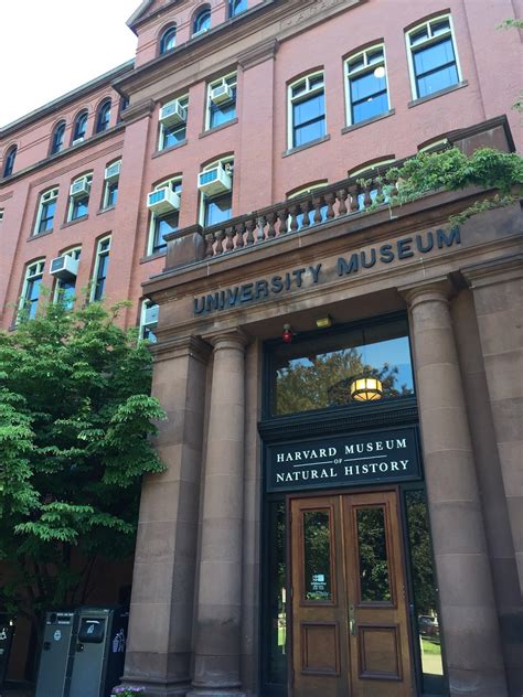 Orange Slices: Harvard Museum of Natural History