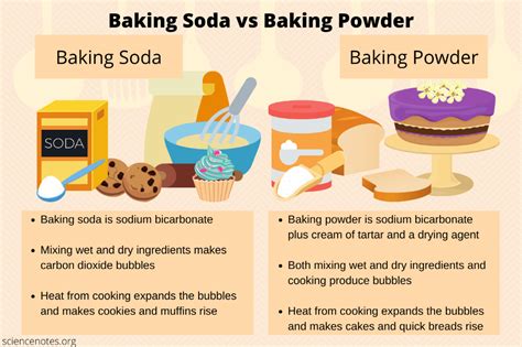 Baking Soda vs Baking Powder - What's the Difference? | Baking soda ...