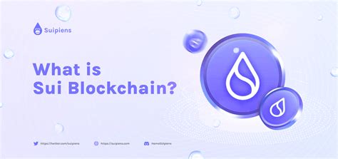 A Beginner's Guide To Sui Blockchain