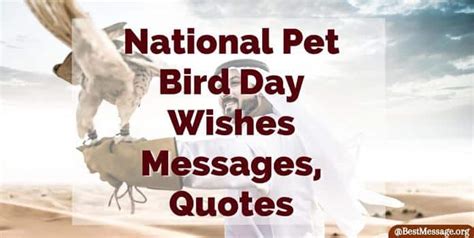 National Pet Bird Day Wishes Messages, Quotes & Greetings