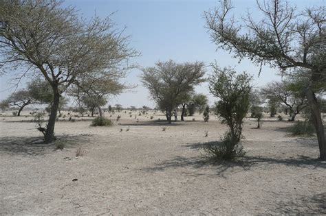 Desertification - Sahel case study