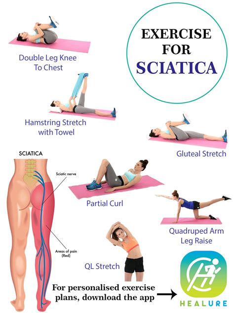 What Are Some Exercises For Sciatica - Exercise Poster