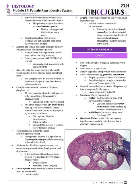 SOLUTION: Histology female reproductive system - Studypool