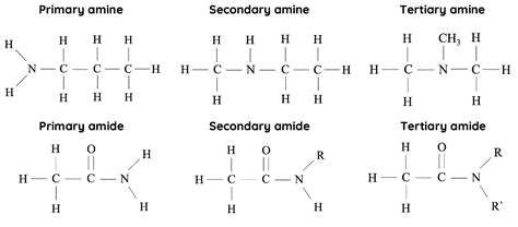 Amine Vs Amide Structure