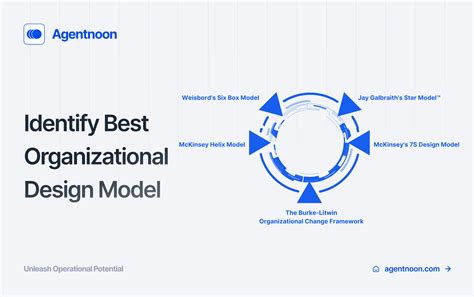 Top Organizational Design Models: A Comprehensive Guide for HR Leaders