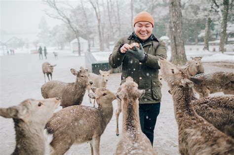 Nara Deer Park, Japan — Clarence Chan Photography - New York City ...