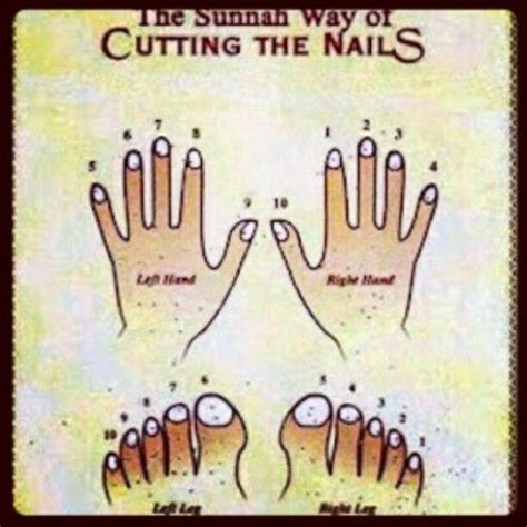 Download Nail Cutting In Islamic Way Pics - white coffin nails designs