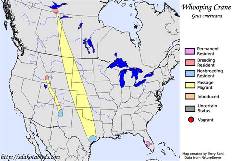 Whooping Crane - Species Range Map