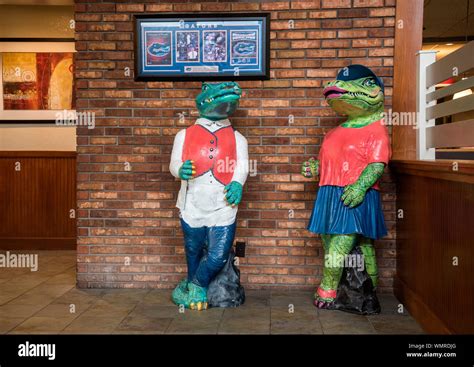 University of Florida Mascots, Albert and Alberta Gator, statues in the ...