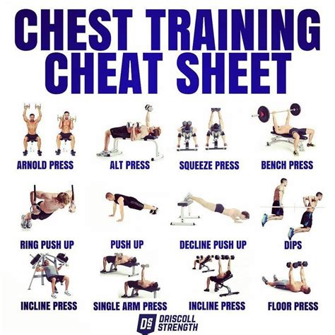 Best Dumbbell chest workout at home without bench for at home | Holiday ...