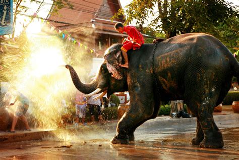 Five Thai festivals and rituals to be part of - Go Thai. Be Free ...