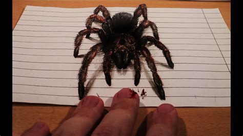 Realistic Spider Drawing