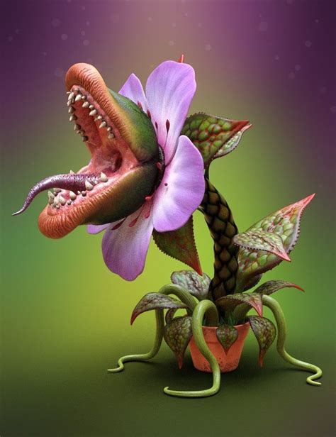 Carnivorous Plant HD | Carnivorous plants, Plant monster, Plant ...