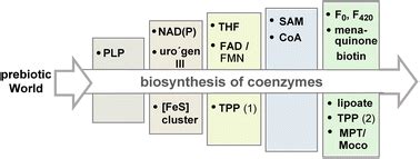 On the evolution of coenzyme biosynthesis - Natural Product Reports ...