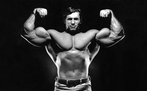 men, Arnold Schwarzenegger, Celebrity Wallpapers HD / Desktop and ...