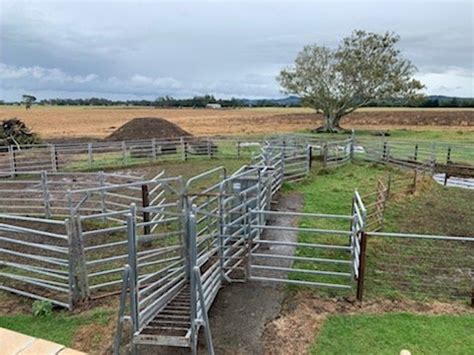 Set of Cattle Yards | Farm Tender