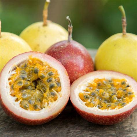 Organic Passion Fruit Red and Yellow Seeds - Open Pollinated