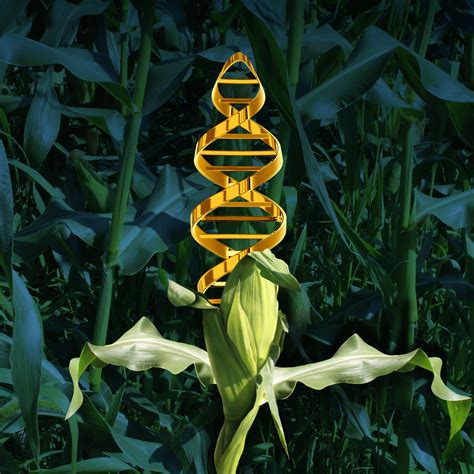 CRISPR gene editing: environmentally friendly? Oct. 10