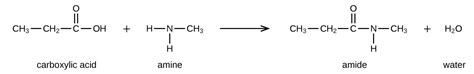 Amines and Amides | Chemistry for Majors