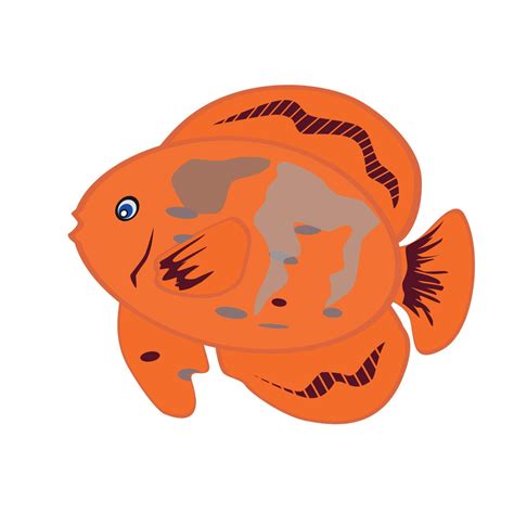 Orange Fish Isolated on White Background. Vector Illustration. E ...