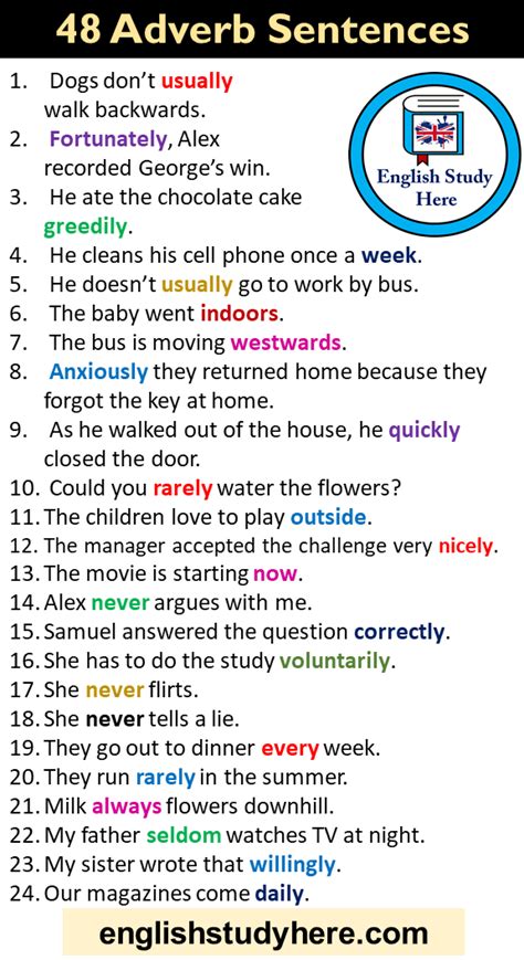 48 Adverb Sentences, Example Sentences with Adverbs - English Study Here