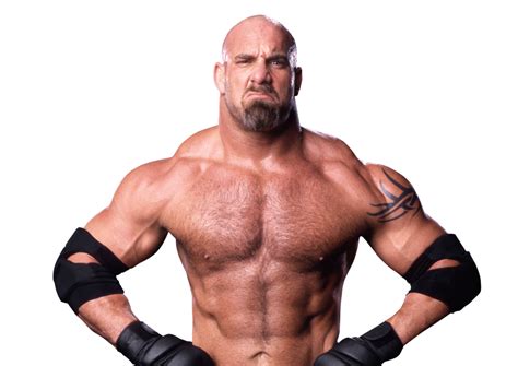 Image - Goldberg pro.png | WWE 2Ks | FANDOM powered by Wikia