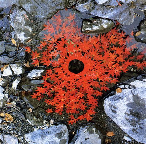 Site-Specific Land Art by Andy Goldsworthy are Ephemeral Earthworks