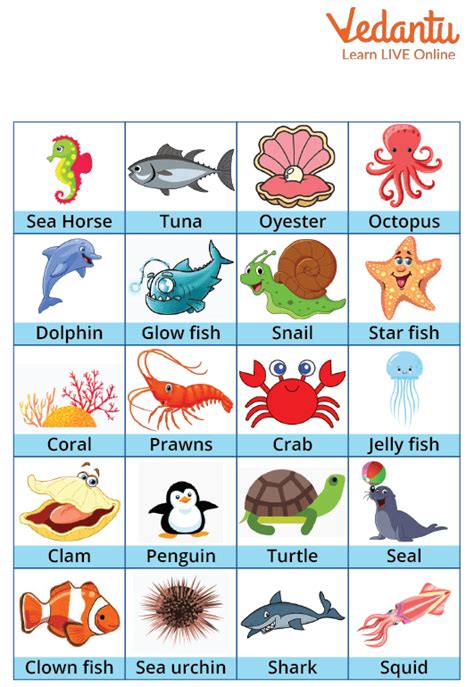 Aquatic Animals Pictures