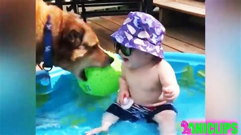 Funny Babies Laughing At Their Pets | Videsta.com