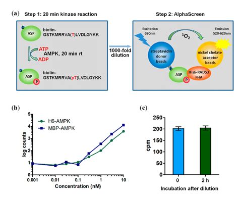 Two-step AlphaScreen kinase assay. (a) Schematic assay presentation ...