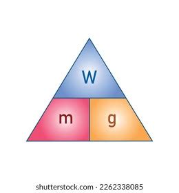 Weight Formula Mass Weight Acceleration Gravity Stock Vector (Royalty ...