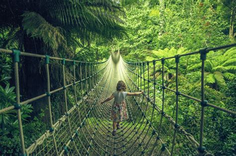 The Lost Gardens of Heligan - Magical Garden in Cornwall