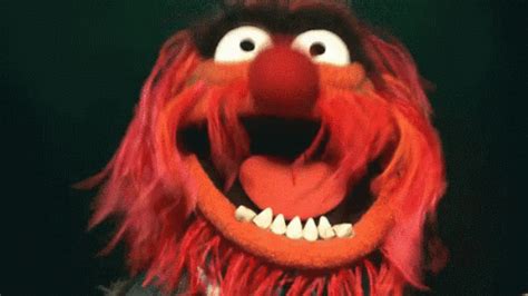 Animal Muppets GIF - Animal Muppets Scary - Discover & Share GIFs