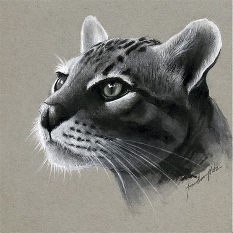 Realistic Drawing Of Animals