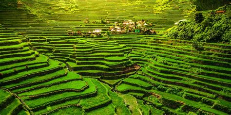 The Banaue Rice Terraces in the Philippines | Traveler by Unique