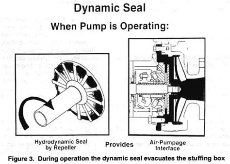 Hydrodynamic Seals in the Pulp & Paper Industry - R.F. MacDonald Co.