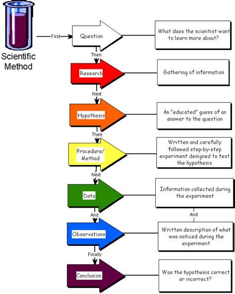 What is Scientific method and what are the steps of the scientific ...