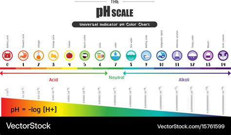 Ph scale universal indicator ph color chart Vector Image