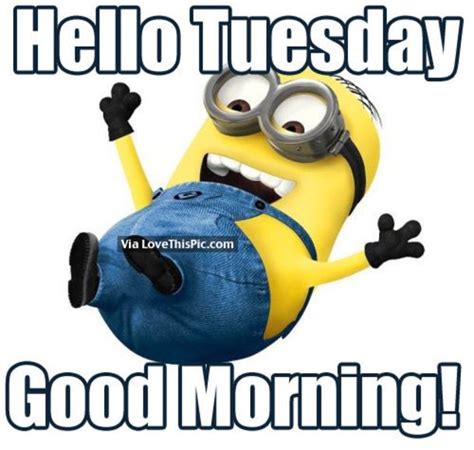 50 Cute Happy Tuesday Cartoon Quotes | Minions despicable me, Minions ...