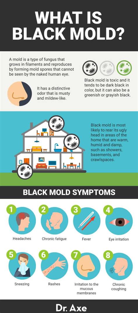 Black Mold Symptoms and 12 Natural Remedies - Dr. Axe