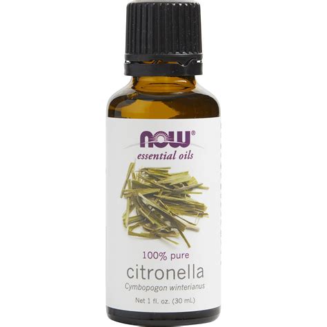 NOW Unisex Citronella Oil 1 Oz By Essential Oils Now - Walmart.com ...