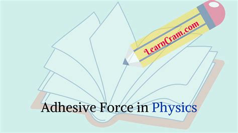 Adhesive Force in Physics | Meaning, Example – Surface Tension – Learn Cram