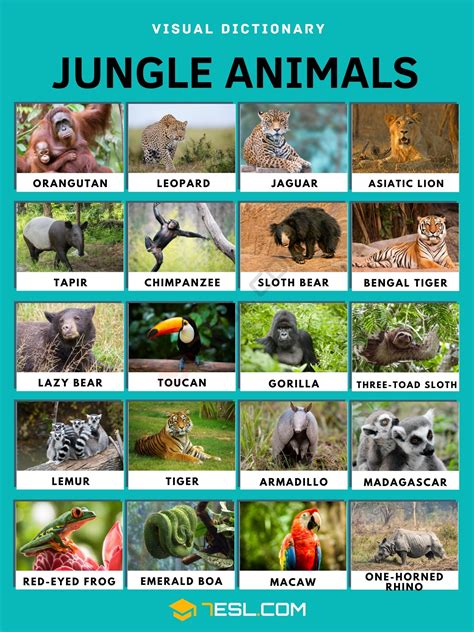 Jungle Animals List in English • 7ESL